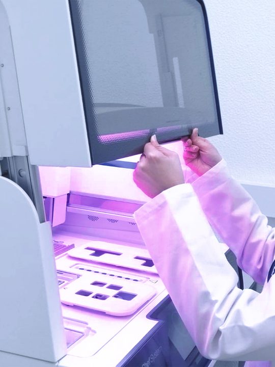 Sample preparation in the WeNou laboratory